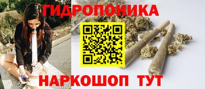 таблы Гусев