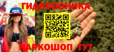 гидра Гусиноозёрск