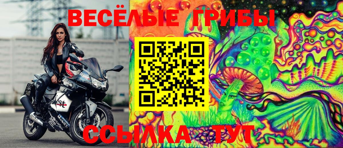 Псилоцибиновые грибы прущие грибы Мыски